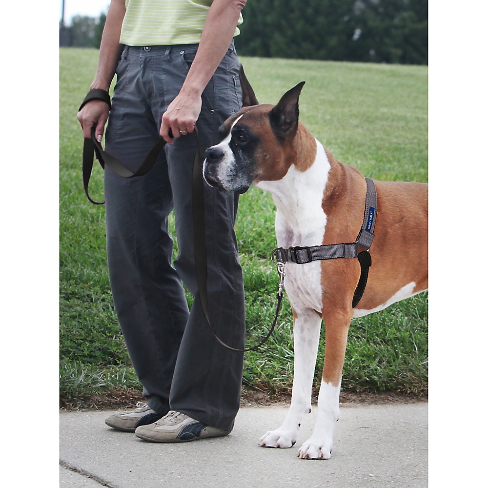 PetSafe Deluxe Easy Walk No-Pull Harness. Size Large and Gray and Black